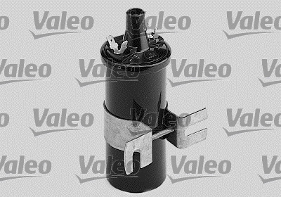 VALE245025
